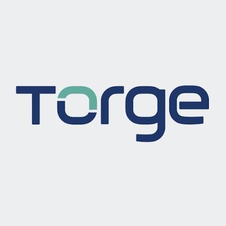 TORGE PDV